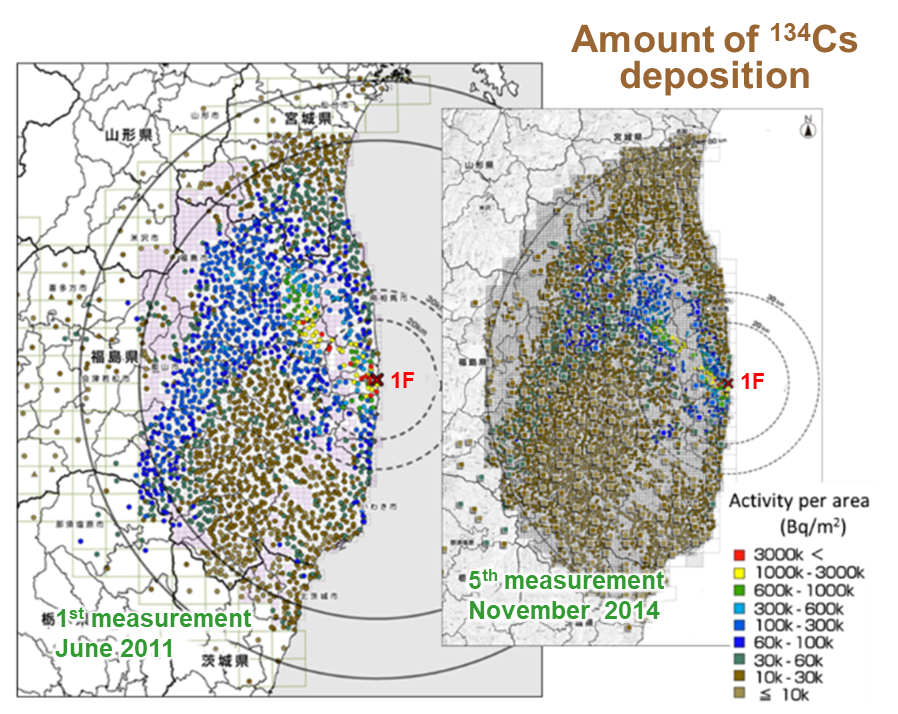 Distribution of 134Cs deposited in soil at two different periods