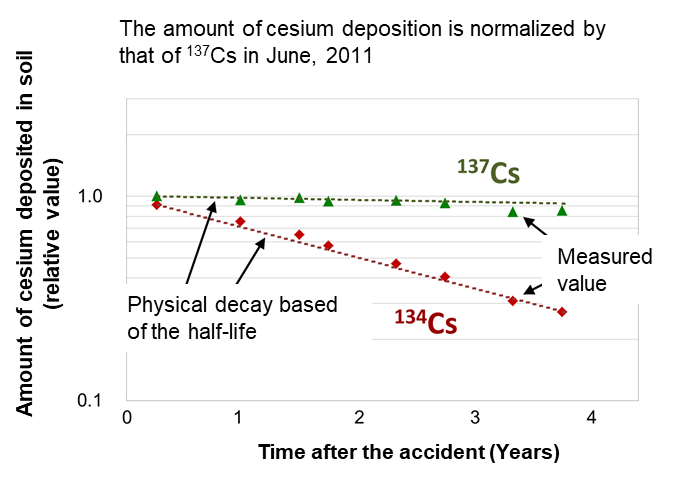 Time-dependence of averaged amount of cesium deposition