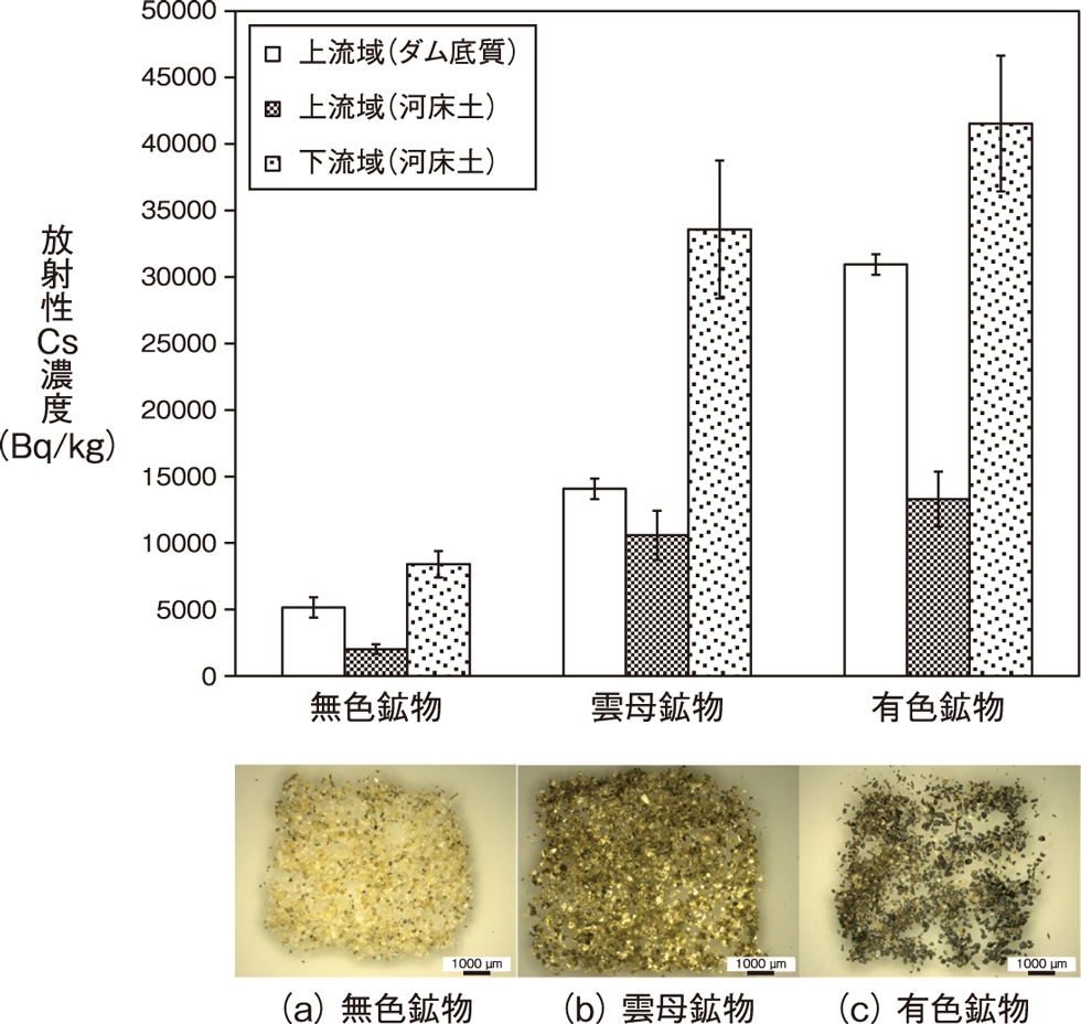 137Cs concentrations in each mineral and separated mineral obtained from the fine sand fraction at the riverbed and reservoir