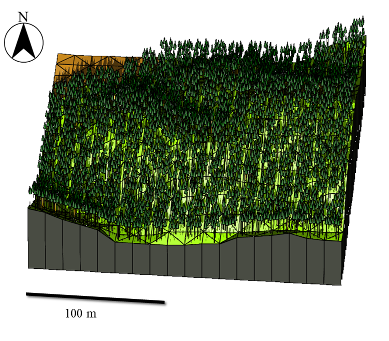 Geometric model for radiation transfer analysis created by 3D-ADRES