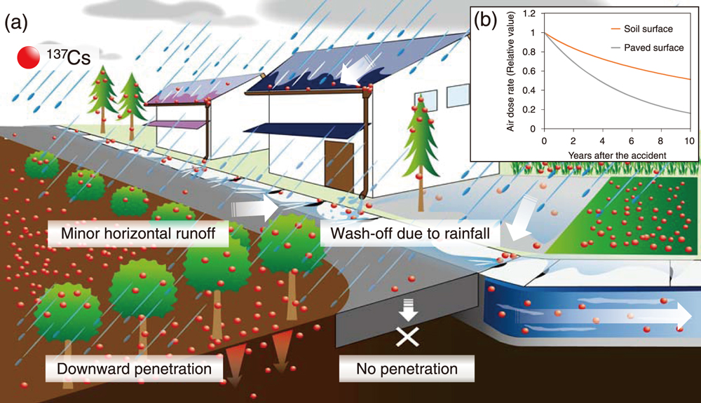 Overview of the behavior of 137Cs in urban areas and (b) decreasing trend of air dose rate estimated considering the behavior of 137Cs