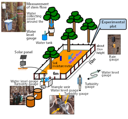 Image of experimental plot