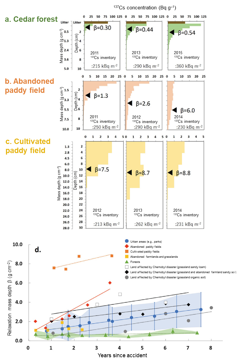 Temporal change in depth distribution of 137Cs concentration and relaxation mass depth β in various soils