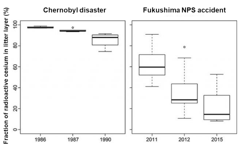 Movement of radioactive cesium from litter layer to mineral soil layers