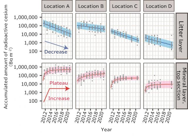 Variations in the amount of radioactive cesium accumulated in the litter layer and top section of mineral layer (depth of 0-5 cm) with time (showing results for cedar forests only)
