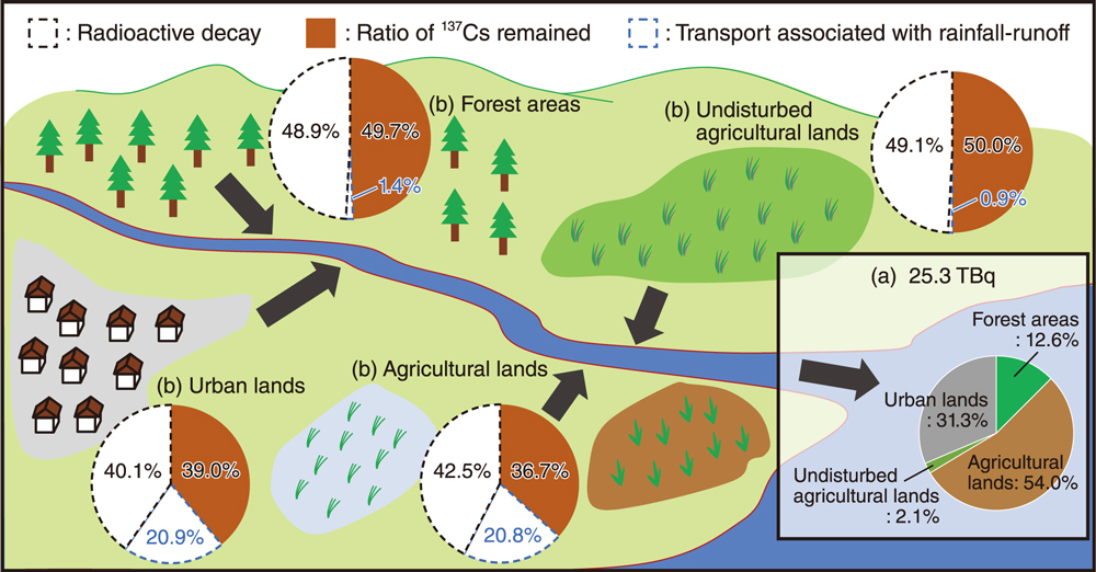 (a) The 137Cs transport into the ocean through the river in 30 years after the accident and the relative contribution of each land use category to the transport and (b) the ratio of 137Cs remained in each land use category after 30 years, and ratio of decrease in the 137Cs content on land