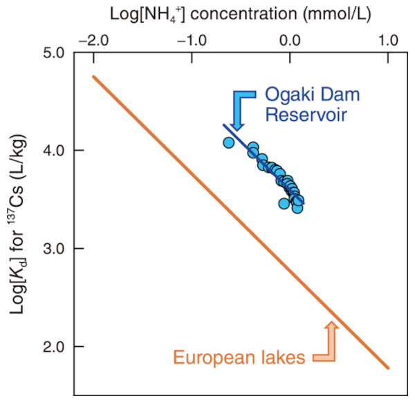 Correlations between the Kd values for the 137Cs and NH4+ concentration in pore water