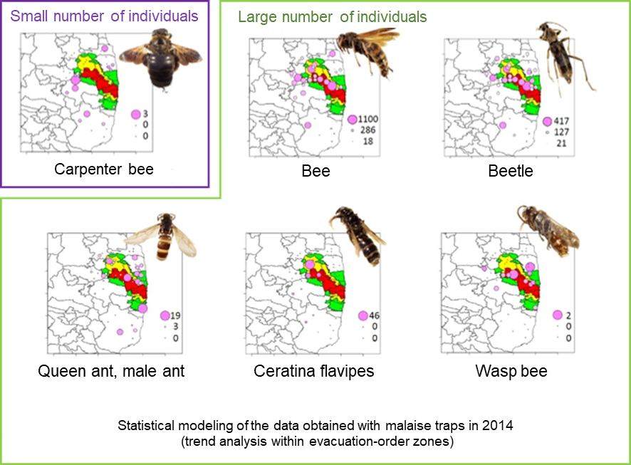 Number of insects caught by traps