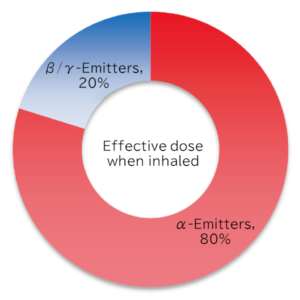 Schematic illustration of fuel debris retrieval work