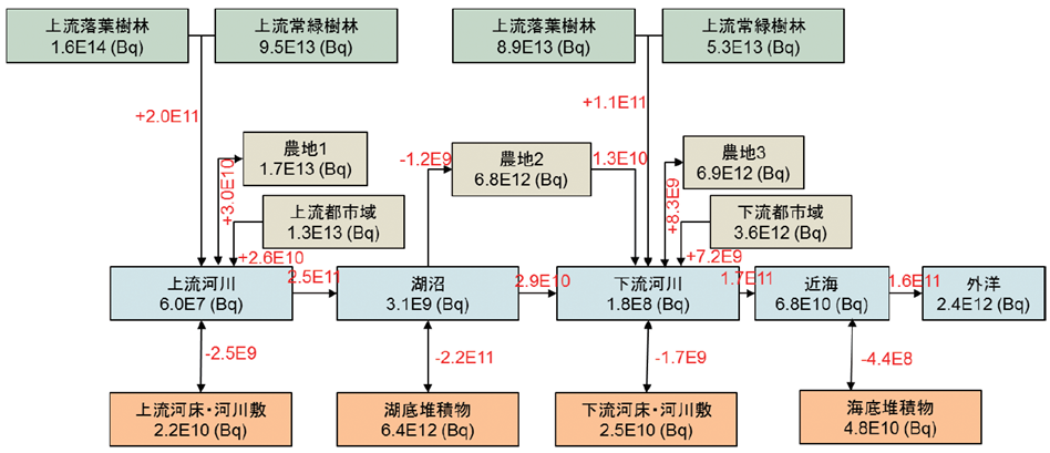請戸川流域内のフォールアウト5年後の放射性セシウムのストック・フロー