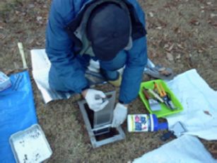 スクレーパープレートによる試料採取の様子