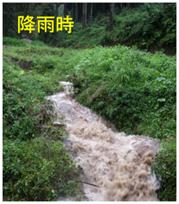 森林渓流における土砂流出の様子-降雨時