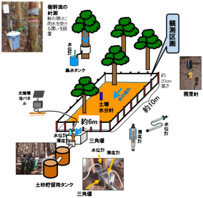 観測プロットの概念図