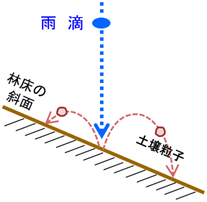 雨滴の衝撃による土壌の跳ね上げ