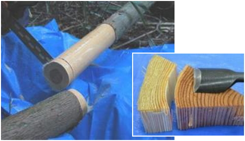 川内村のスギ林および川俣町のコナラ林での調査の様子2