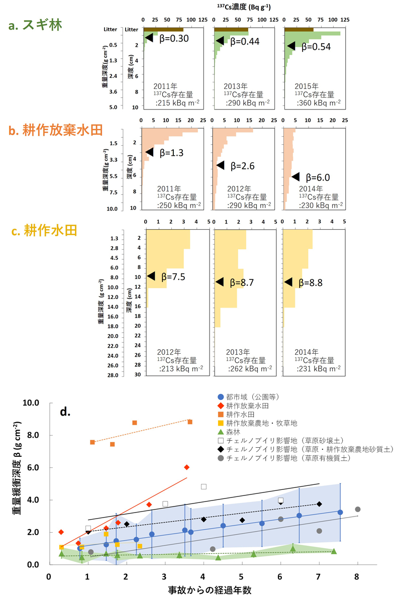 さまざまな土壌における<sup>137</sup>Cs濃度の深度分布と重量緩衝深度&beta;の経時変化