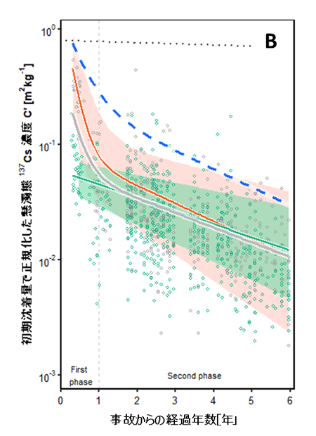 B．流域への初期沈着量で正規化した懸濁態137Cs濃度