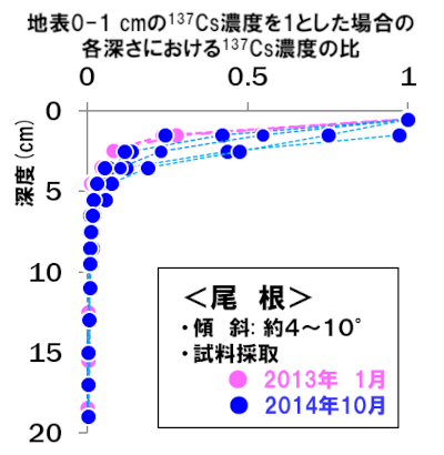 森林の土壌における137Cs濃度の深度分布-尾根