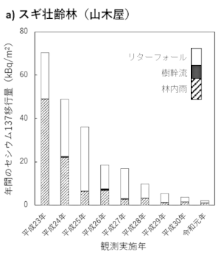 スギ壮齢林(山木屋)