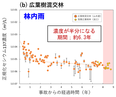 広葉樹混交林-林内雨