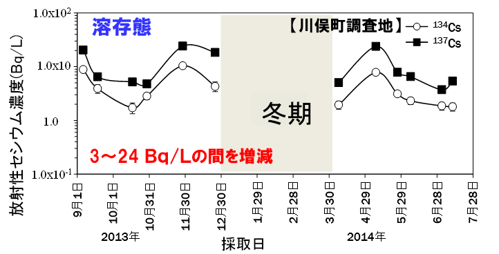 樹幹流に含まれる溶存態セシウムの濃度(川俣町調査事例)