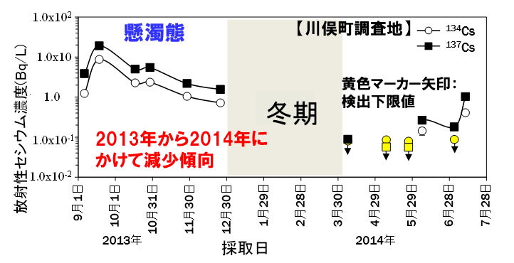 樹幹流に含まれる懸濁態セシウムの濃度(川俣町調査事例)