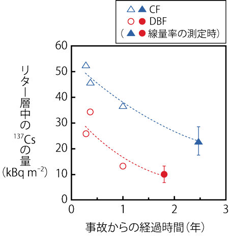 リター層中の137Csの量の変化