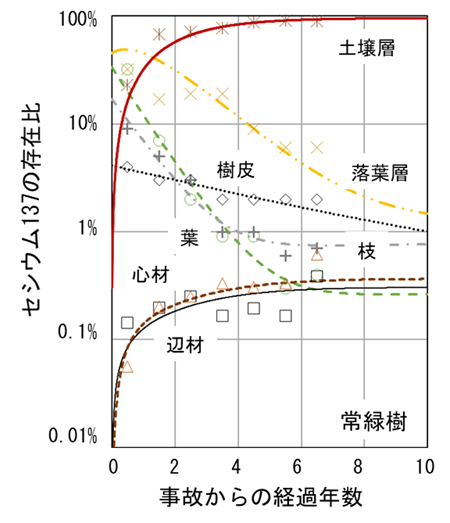 シミュレーション結果と実測値の比較－常緑樹
