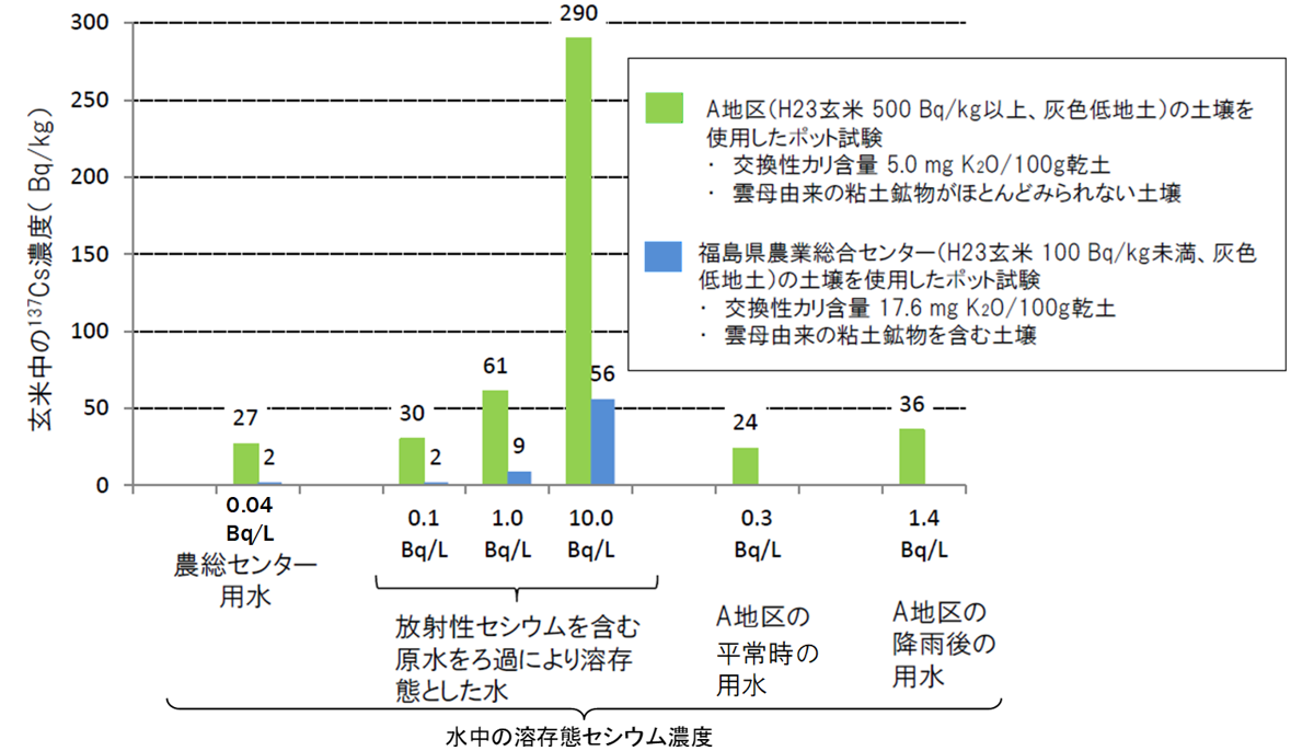 灌がい用水の放射性セシウム濃度が玄米の放射性セシウム濃度に及ぼす影響