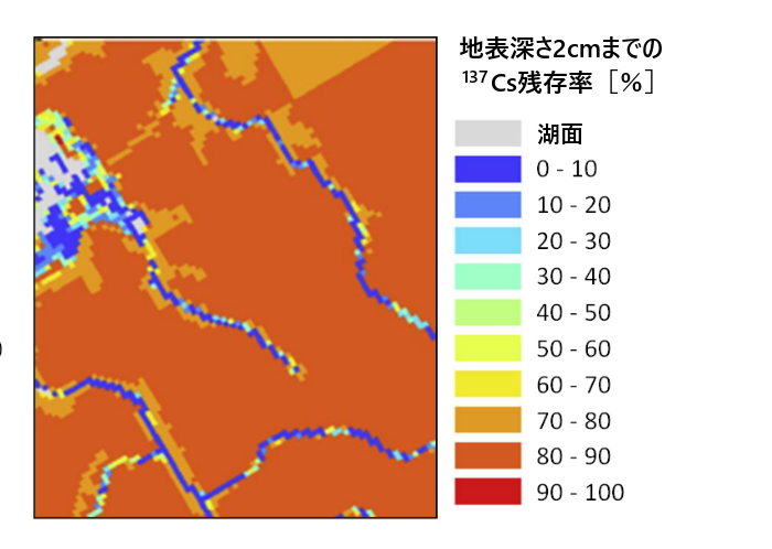 残存137Csの割合の分布