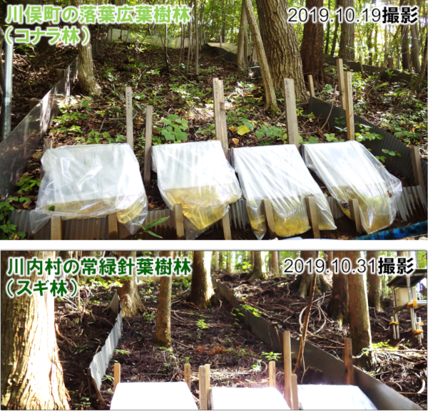 傾斜約30度の森林斜面に設置した観測プロット