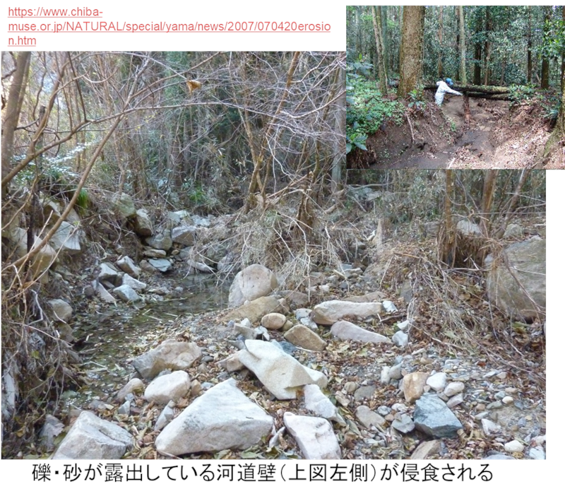 土砂の堆積と河道壁の侵食の様子