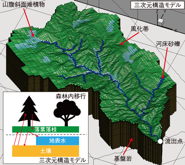 解析対象領域の三次元構造モデルと森林内移行