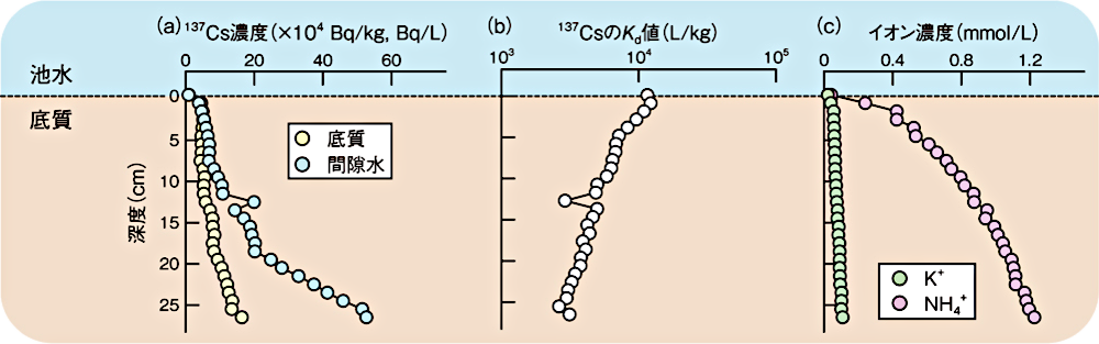 底質と間隙水の放射能濃度と水質