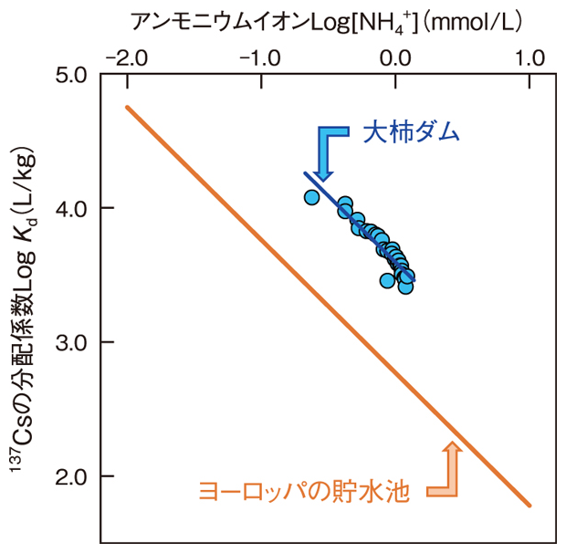 137CsのKd値とアンモニウムイオン(NH4+)の関係