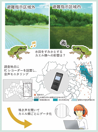 カエル類の音声モニタリング調査の概要