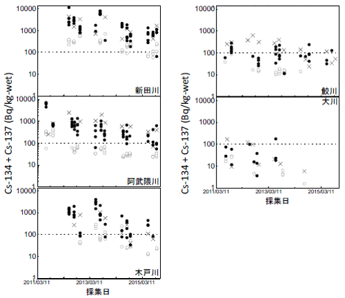 福島県内5河川でのアユの内臓および筋肉と、河床付着物(アユの餌生物である藻類およびシルト、×)の放射性セシウム濃度の時間変化2)