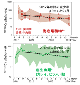 海底堆積物と底生魚類中の放射性セシウム濃度の経時変化の比較