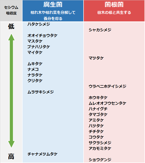 野生きのこの種によるセシウム吸収度の違い