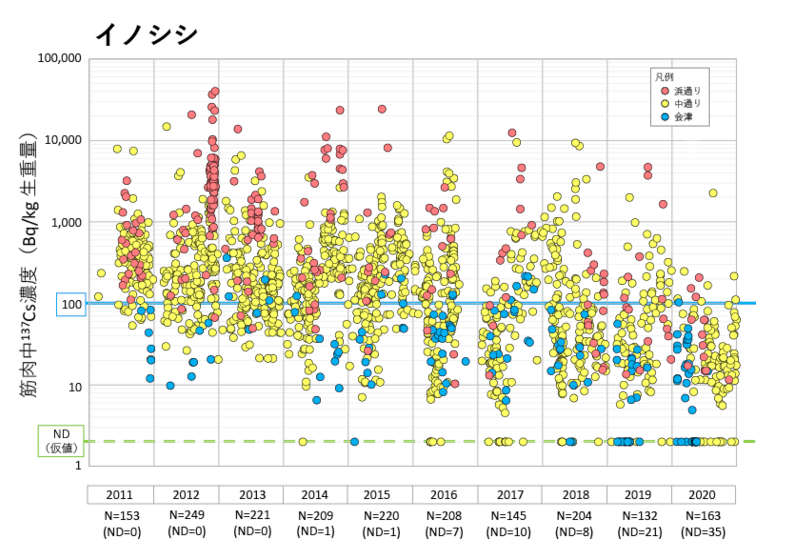 イノシシの筋肉中における137Cs濃度の時系列変化