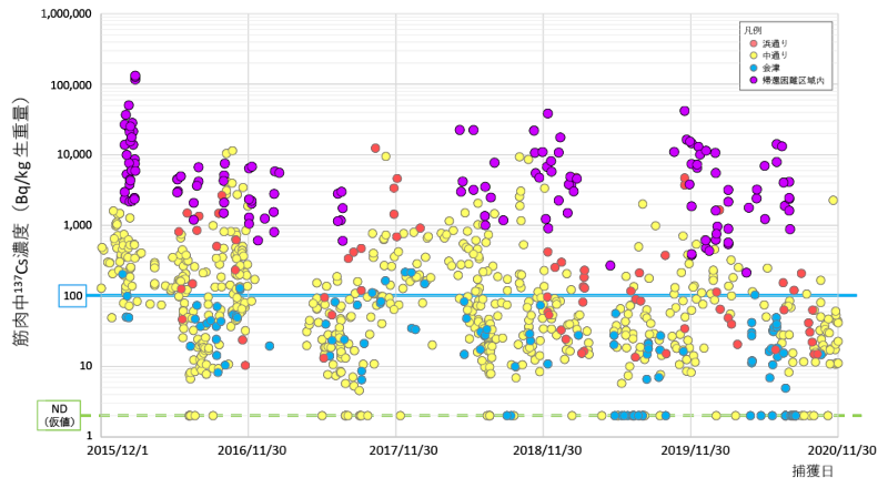 イノシシの筋肉中における137Cs濃度のモニタリング結果