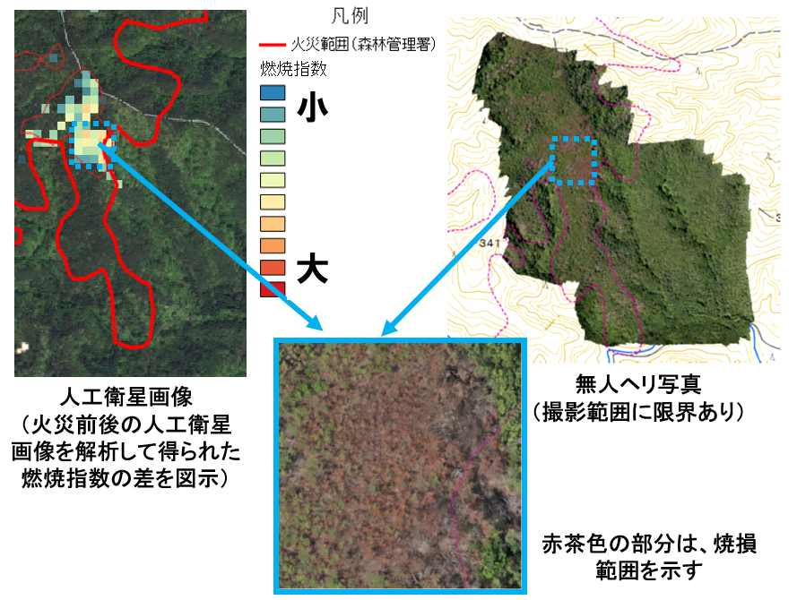 人工衛星画像と無人ヘリ写真の焼損範囲の比較