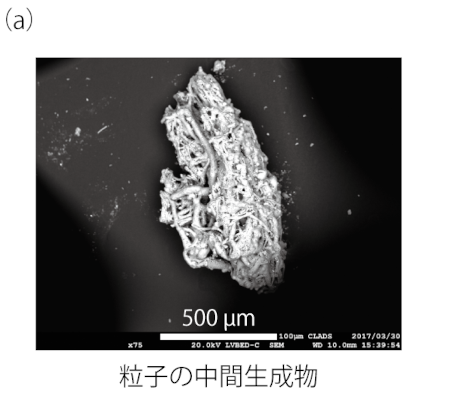 発見された生成途中と推定されるTypeB粒子とエネルギー分散型X線解析（EDS）の結果