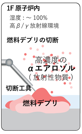 ファイバ型モニターの外観と放射線の水中での飛程を基にした&beta;線の検出理論